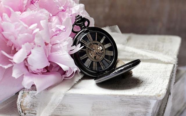 Building Your Watch Collection: Tips and Insights